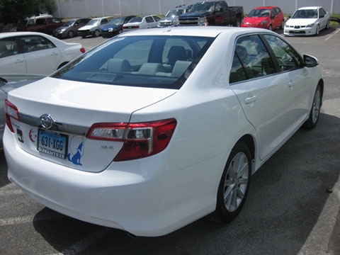 dent removal, wheel convenience, refinishing, experienced staff, care, car rentals, glass installaton, paintless dent repairs, customer service,